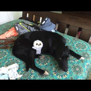 Meet your Posher, Anna